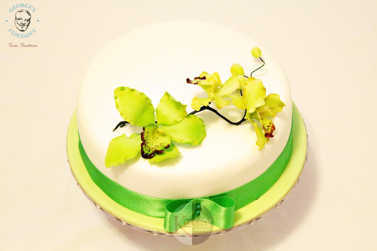 George's Fondant Colored Green Cake